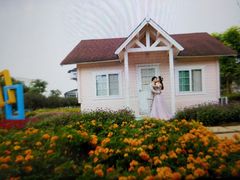 -百万葵园