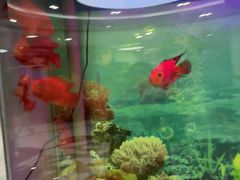 -雅悦齿科(顾村公园店)