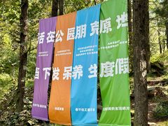 -鲁山国家森林公园