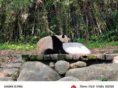 -广州长隆野生动物世界