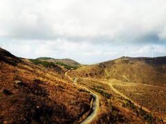 -东白山