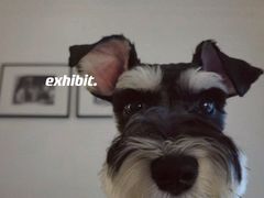 -夏商生鲜超市(东渡店)