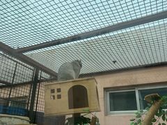 -青藏高原野生动物园