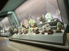 -湖南省地质博物馆