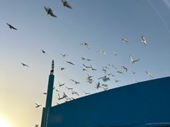 -海合安武汉极地海洋公园