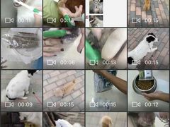-芭比堂动物医院广州顽皮分院
