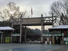 -鸡鸣汤包(红山动物园店)