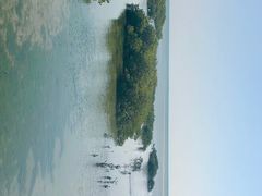 -北海金海湾红树林生态旅游区