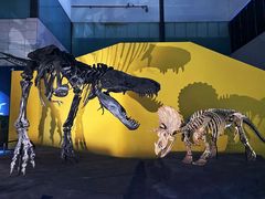 -湖南省地质博物馆