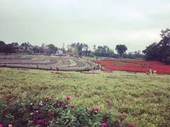 -保利石象湖景区