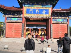 -南海禅寺