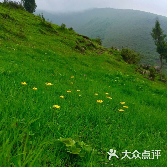 仓家峡森林公园