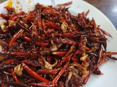 辣炒墨斗爪-西塔隆太白烤牛肉馆(图们路店)