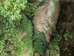 -雁荡山风景名胜区-小龙湫