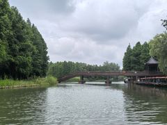 -溱湖国家湿地公园