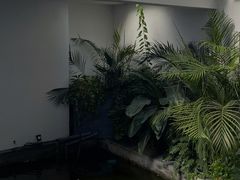 -漫笙舍Manse·咖啡·民宿