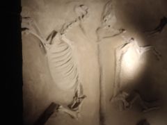 -洛阳周王城天子驾六博物馆