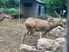 -无锡动物园·太湖欢乐园