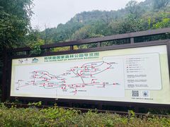 -抱犊崮国家森林公园