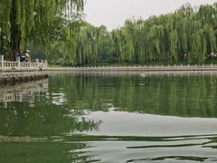 -皇家御河游(紫御湾码头)