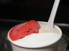 -Dip in Gelato(富民路店)