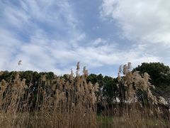 -美兰湖景区