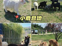 -南北湖风景区