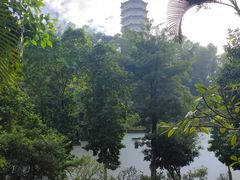 -深圳国际园林花卉博览园