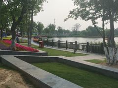 -上海长兴岛郊野公园