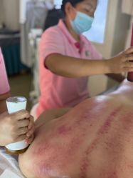 点击看大图 -阅年轻·AI家庭健康体质调理