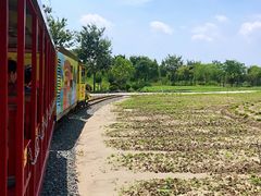 -歌斐颂巧克力小镇