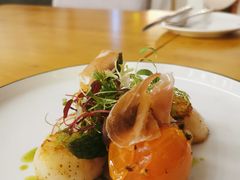 香煎元贝-JANS意式简餐厅·惠灵顿牛排