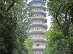 -灵谷景区
