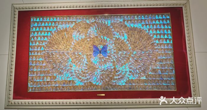 上海昆虫博物馆图片