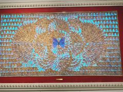 -上海昆虫博物馆