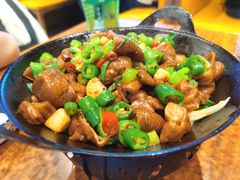 干锅肥肠-巫山烤全鱼(富康京科苑路店)
