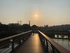 -立新湖公园