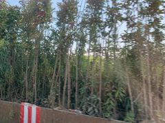 -上海滴水湖皇冠假日酒店