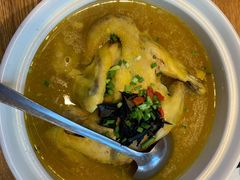 岩耳神仙鸡-印象鲵宴·张家界地标美食名片(溪布街店)