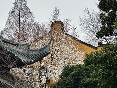 -龙华寺