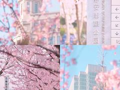 -广富林郊野公园