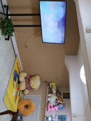 -花开映像儿童摄影