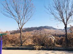 -井塘古村