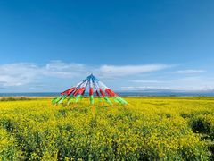 -青海湖国家重点风景名胜区