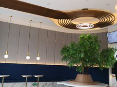-CoCo都可(中联广场店)