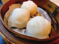添运来虾饺皇-添运来(茶园奥园广场店)