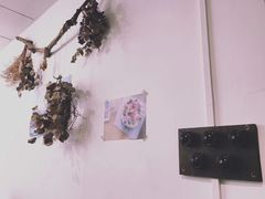-素咫咖啡CLIFEROSE