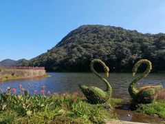 -广州市石门国家森林公园