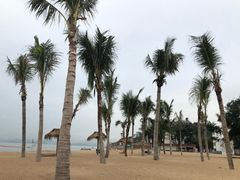 -玫瑰海岸文化旅游度假区