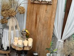 -Jo's Garden